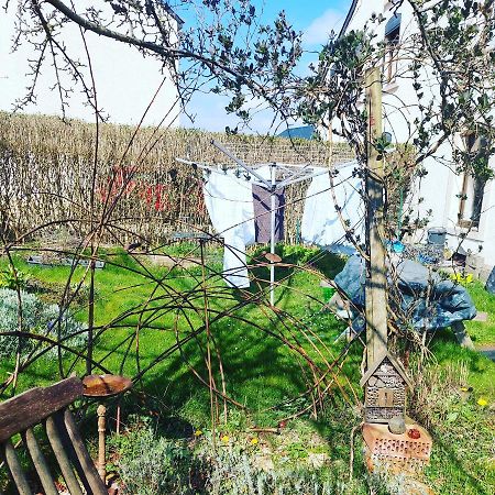 Tintigny B&B A Quiet Place المظهر الخارجي الصورة